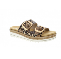 Load image into Gallery viewer, Orlando Brown
